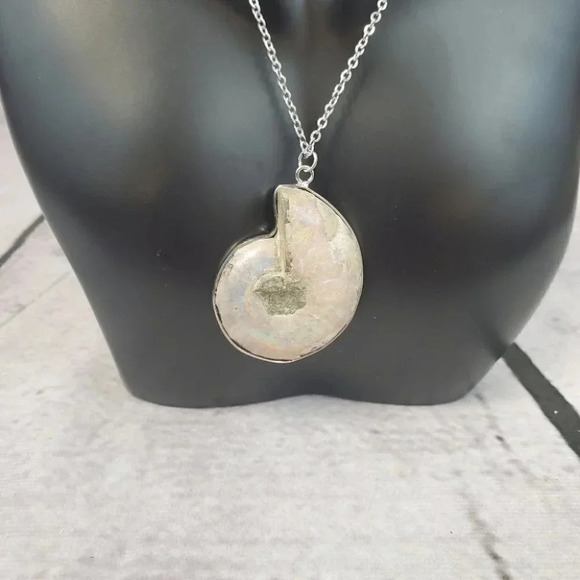 Ammonite Fossil Shell with Silver Plating - Picture 12 of 15